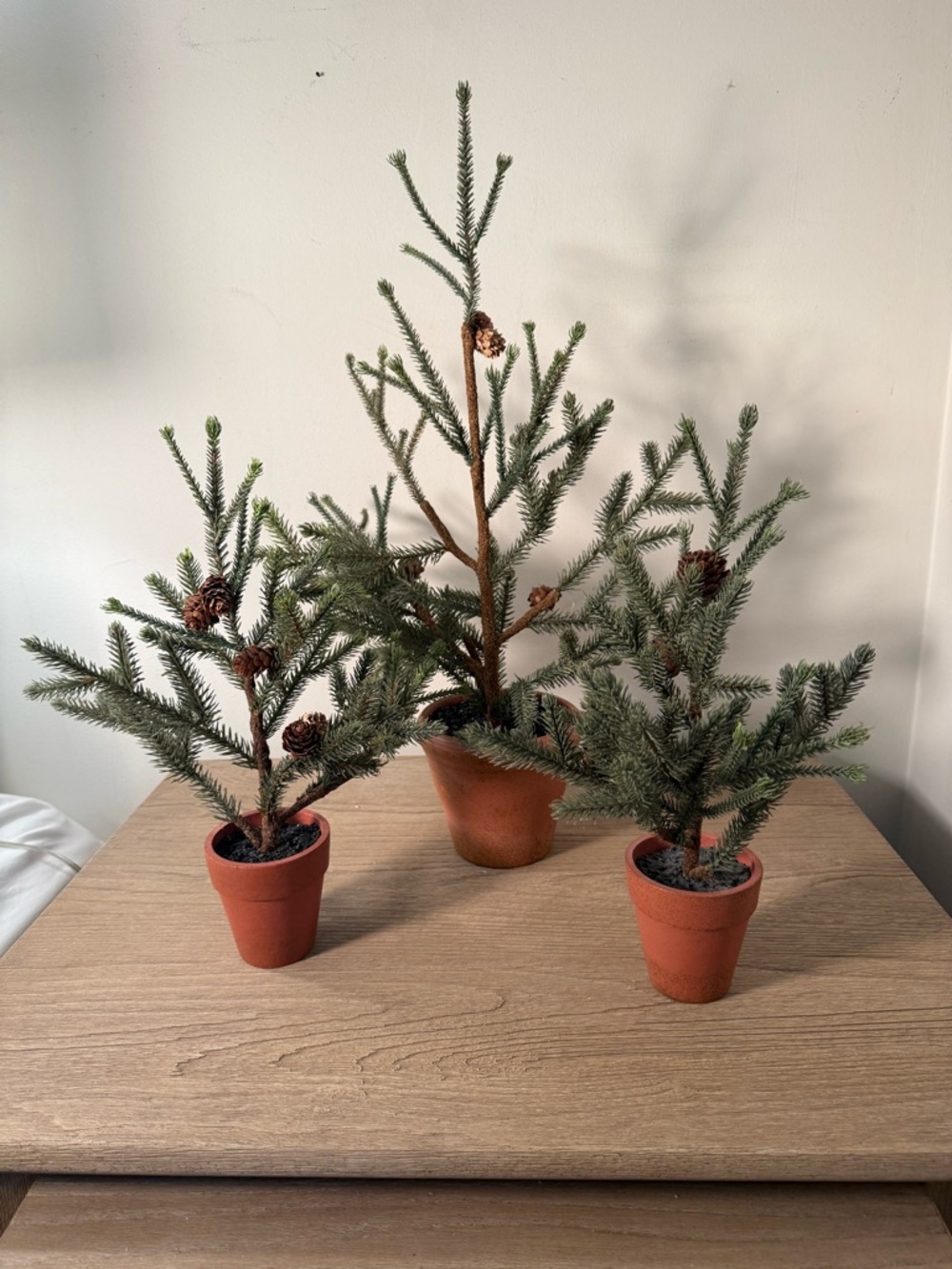 Pottery Barn Potted Pine set